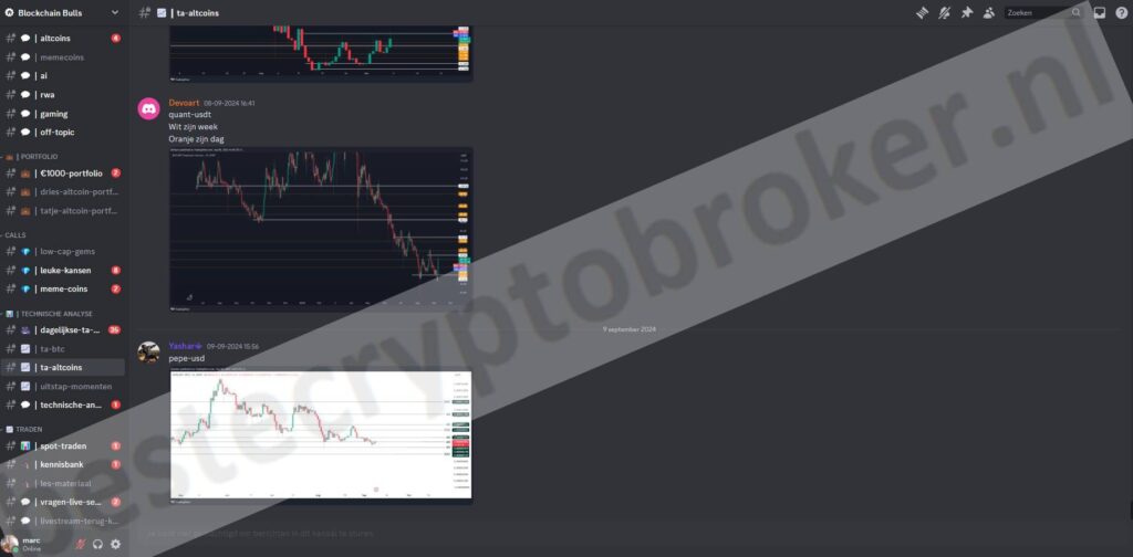 Op deze foto zie je de BlockChain Bulls Community. Mijn #4 van beste Crypto Trading Signalen